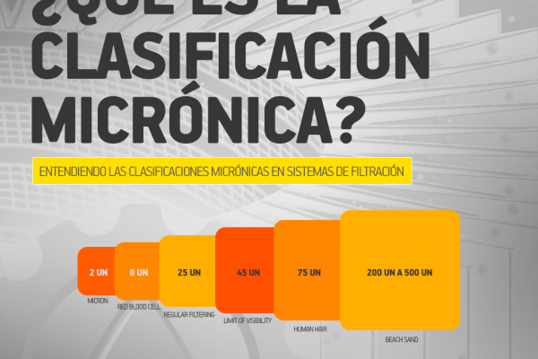 ¿Qué es la clasificación micrónica?